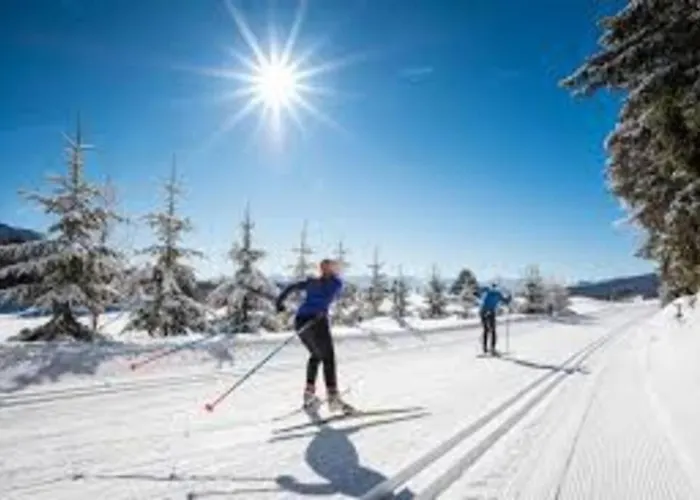 La Cabane Du Bonheur